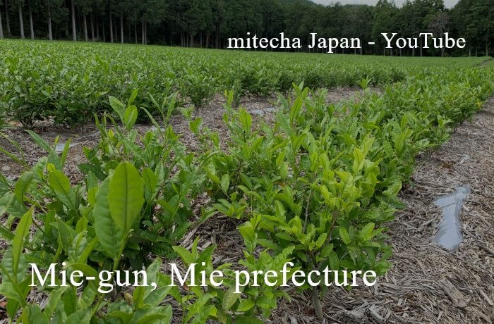 Mie-gun, Mie prefecture