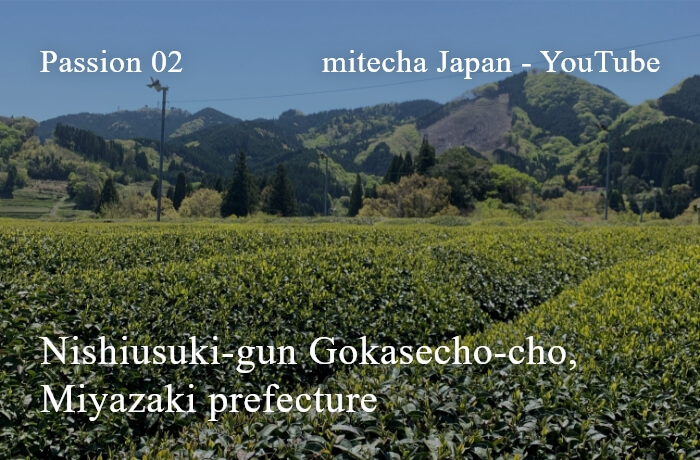 Nishiusuki-Gun Gokasecho-cho, Präfektur Miyazaki
