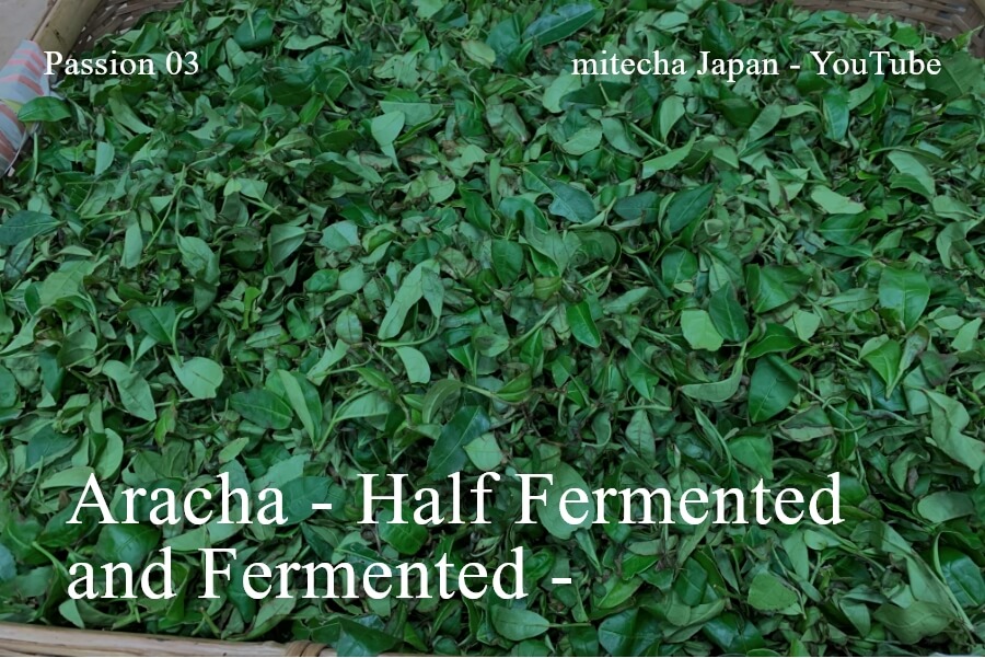 荒茶 - Half Fermented and Fermented -